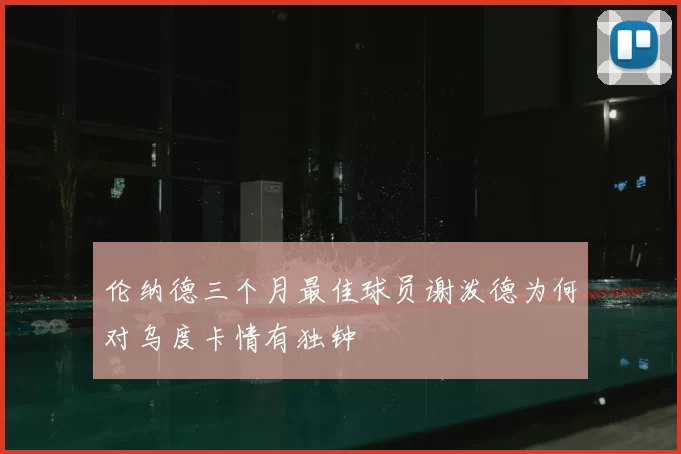 伦纳德三个月最佳球员谢泼德为何对乌度卡情有独钟