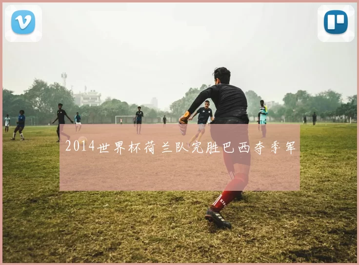 2014世界杯荷兰队完胜巴西夺季军