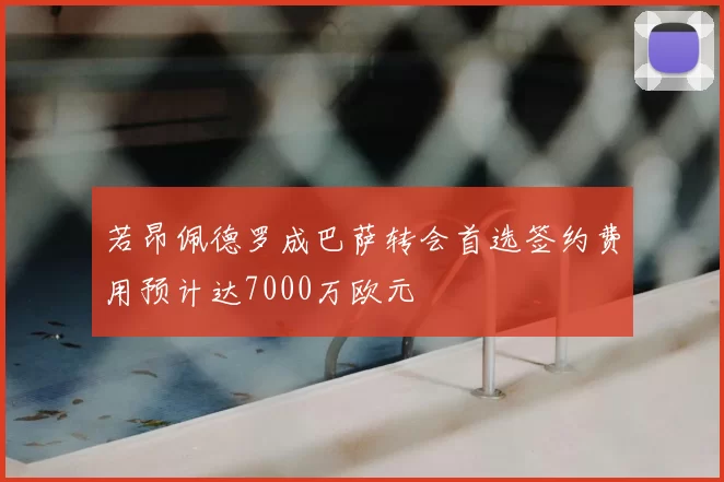 若昂佩德罗成巴萨转会首选签约费用预计达7000万欧元