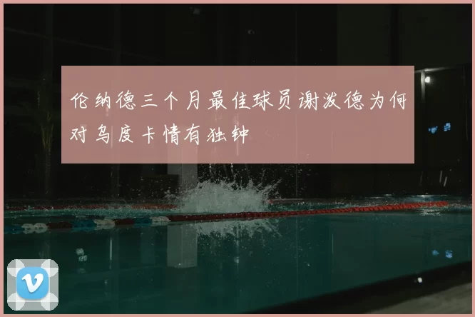 伦纳德三个月最佳球员谢泼德为何对乌度卡情有独钟