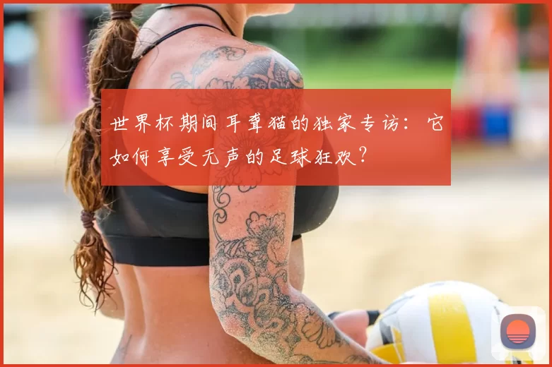 世界杯期间耳聋猫的独家专访:它如何享受无声的足球狂欢?