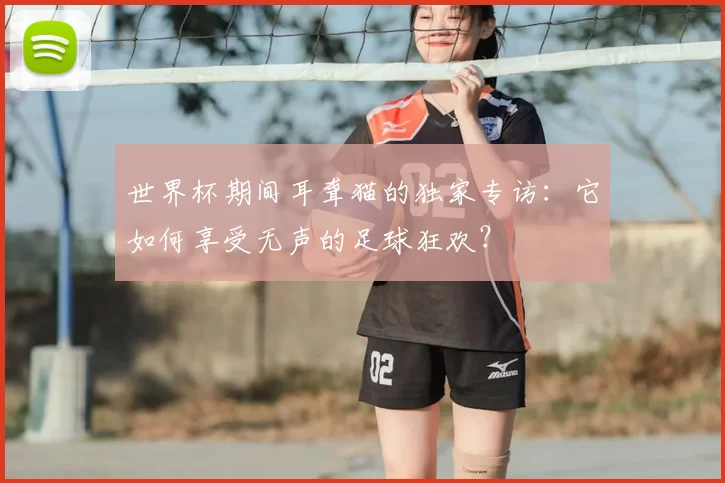 世界杯期间耳聋猫的独家专访:它如何享受无声的足球狂欢?