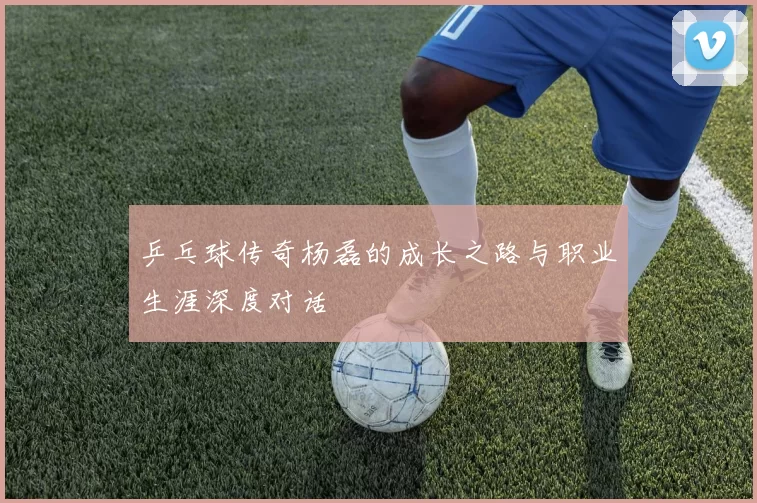 乒乓球传奇杨磊的成长之路与职业生涯深度对话