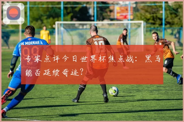 专家点评今日世界杯焦点战:黑马能否延续奇迹?